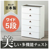 楽天市場】ロイヤルドロアー 5段の通販