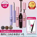 ＼1/16 09:59迄★クーポン20%OFF／【 エチュード 公式 】 カールフィックスマスカラ マスカラ カールキープ 落ちない …