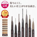 ＼4/12 23:59迄★20％OFFクーポン／【 エチュード 公式 】ドローイングアイブロウペンシルプロ | エチュードハウス ET…