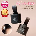 ＼8/10(月)限定★P5倍＋神トク20%OFFクーポン／【 エチュード 公式 】ポンポンヘアシャドウ | ヘアファンデーション …