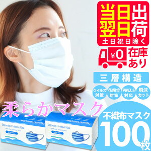 y3000~|bLIIz}XN 100 ݌ɂ [ 50×2  ĝă}XN 3w\ 3w sDz sDz}XN mask M[TCY jp@ECX΍ Cgu[