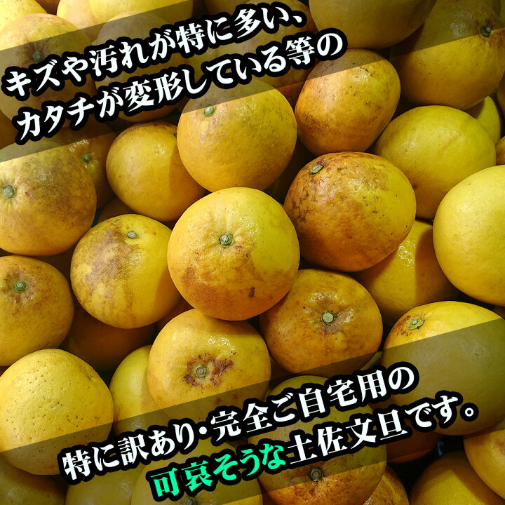 楽天市場】【特に訳あり】 高知県産 可哀そうな 土佐文旦 10kg 【送料 