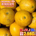 【限定販売】 愛媛県 愛南町産 木成り 土佐文旦 M〜2Lサイズ 10kg 家庭用 訳あり 【送料無料※北海道・沖縄県は除く】 きなり で熟した とさぶんたん ...