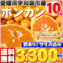 愛媛県産 訳あり 宇和島ポンカン10kg【送料無料※北海道・沖縄県は除く】★濃い甘さが特徴の宇和島ポンカンです★どっさり大満足のお徳用10kg!