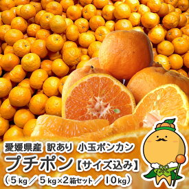 【小さなプチポン】愛媛県産 宇和島 小玉 プチ ポンカン 訳あり 送料無料 自宅用 家庭用 箱買い 今津 太田 愛媛 みかん こだわり 王国