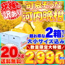 【お得なまとめ買い2箱セット】【特に訳あり】愛媛県愛南町産「可哀そうな河内晩柑」20kg【送料無料※北海道・沖縄県は除く】希少な柑橘！ジュースに絞ってもOK！【... ランキングお取り寄せ