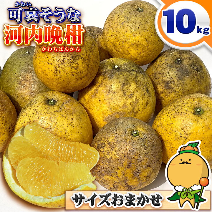 楽天市場】＼お得200円引きSALE中／【樹齢20年以上】 愛媛県 愛南町産 