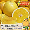 【樹齢20年以上の契約農家限定】 愛媛県 愛南町産 ご家庭用 河内晩柑 M～2Lサイズ 【 送料無料 ※一部地域除く】 訳あ…