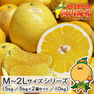 【樹齢20年以上の契約農家限定】 愛媛県 愛南町産 ご家庭用 河内晩柑 M～2Lサイズ 【 送料無料 ※一部地…