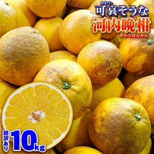 ���i�摜
