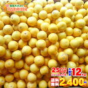 \ ジュース用 超小玉 大容量 12キロ / 愛媛県 愛南町産 河内晩柑 ジュース用 小玉 2Sサイズ以下 12kg 家庭用 訳あり 【送料無料※一部地域除く】...
