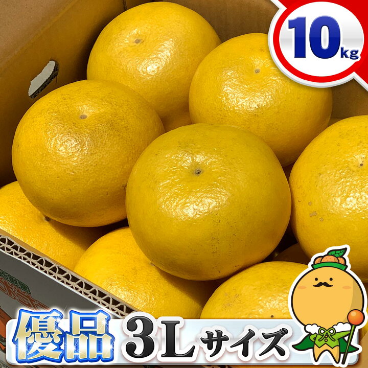 楽天市場】＼見た目の綺麗な優品／ 愛媛県 愛南町産 土佐文旦 優品 3L 