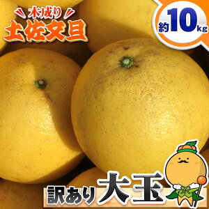 ���Q�� ���쒬�Y �ؐ��� �y�����U 10kg �ƒ�p �󂠂� �y�����������k�C���E���ꌧ�E�ꕔ�����͏����z ���Ȃ� �ŏn���� �Ƃ��Ԃ񂽂� ����p 10�L�� ������