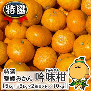 QY I ݂ ᖡi݂jTCY y/ꕔn揜zm QY ƒp p ݂  B   승20 n