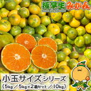 愛媛県産 極早生 みかん 小玉サイズ ご家庭用 訳あり うわじま 自宅用 箱買い 愛媛みかん 小粒 温州 蜜柑