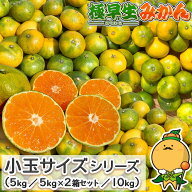 愛媛県産 極早生 みかん 小玉サイズ ご家庭用 訳あり うわじま 自宅用 箱買い 愛媛みかん 小粒 温州 蜜柑