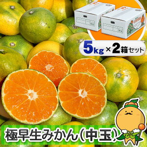 _ʉi^ Q ݂ 召TCY 󂠂 킶  Q ݂ M[TCY B 