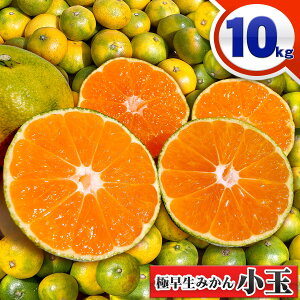 みかん10kgの通販 価格比較 価格 Com
