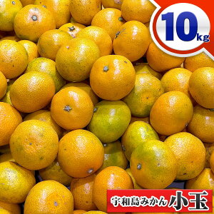 みかん10kgの通販 価格比較 価格 Com みかん10kgの通販 価格比較 価格 Com