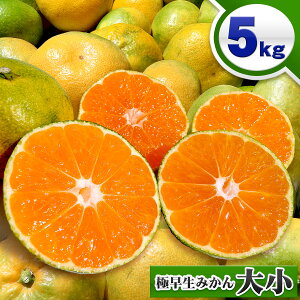 愛媛県産 みかんの人気商品 通販 価格比較 価格 Com