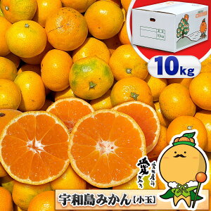 みかん 愛媛みかん 10kgの人気商品 通販 価格比較 価格 Com