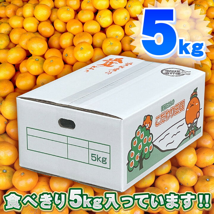 楽天市場】\グルメ大賞2019受賞/愛媛県産 小玉みかん こまちゃん 5kg ご家庭用 早生 南柑20号 送料無料 味濃い プチ みかん 5キロ 箱 買い 愛媛みかん 温州 中生 晩生 蜜柑 こだわり王国 : 愛媛みかんの こだわり王国 楽天市場】\グルメ大賞2019受賞/愛媛県産 小玉みかん こまちゃん 5kg ご家庭用 早生 南柑20号 送料無料 味濃い プチ みかん 5キロ 箱 買い 愛媛みかん 温州 中生 晩生 蜜柑 こだわり王国 : 愛媛みかんの こだわり王国