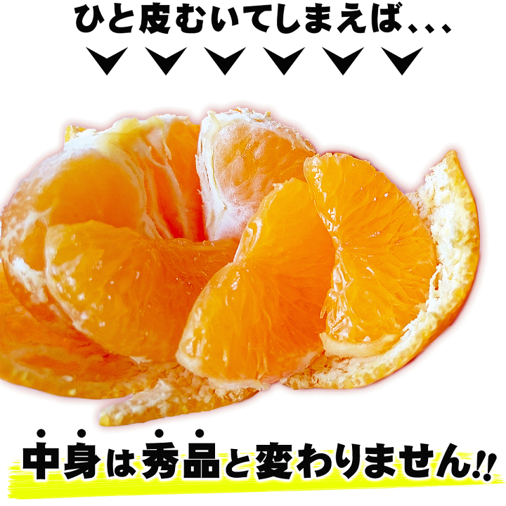 楽天市場】\グルメ大賞2019受賞/愛媛県産 小玉みかん こまちゃん 5kg ご家庭用 早生 南柑20号 送料無料 味濃い プチ みかん 5キロ 箱 買い 愛媛みかん 温州 中生 晩生 蜜柑 こだわり王国 : 愛媛みかんの こだわり王国 楽天市場】\グルメ大賞2019受賞/愛媛県産 小玉みかん こまちゃん 5kg ご家庭用 早生 南柑20号 送料無料 味濃い プチ みかん 5キロ 箱 買い 愛媛みかん 温州 中生 晩生 蜜柑 こだわり王国 : 愛媛みかんの こだわり王国