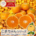 ＼グルメ大賞受賞／ 愛媛県産 小玉みかん こまちゃん 【送料無料/一部地域除く】［ 愛媛県産 家庭用 味濃い 小玉 みか…