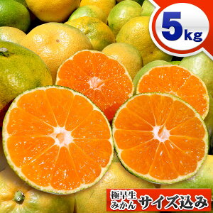 訳あり みかん 送料無料の人気商品 通販 価格比較 価格 Com