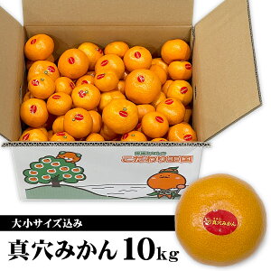 yʌzQY ^݂ 召TCY 10kg ƒp 󂠂  10L p  Q݂ B ܂  艤