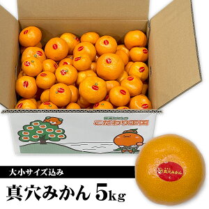 yʌzQY ^݂ 召TCY 5kg ƒp 󂠂  5L p  Q݂ B ܂  艤