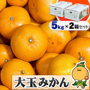 _ʉi^ Q݂ ʃTCY ƒp QYyꕔnz B݂ p  킶