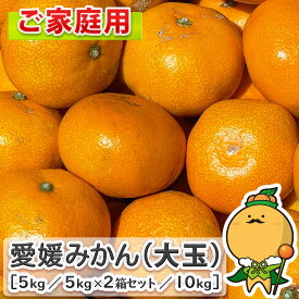 ＼今だけ特別価格／ 愛媛みかん 大玉サイズ ご家庭用 愛媛県産【送料無料※一部地域を除く】 温州みかん 自宅用 箱買い うわじま