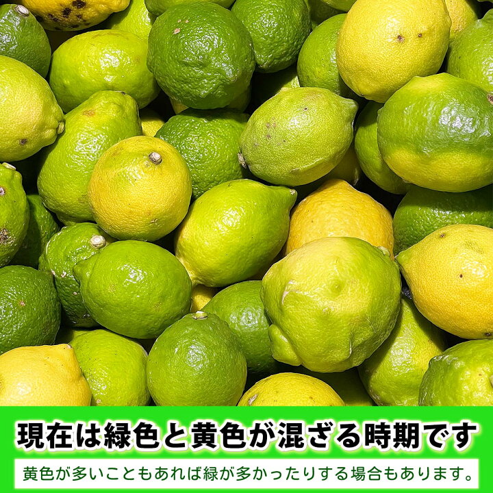 楽天市場】愛媛県産 訳あり レモン B品 サイズ込み 10kg 【送料 