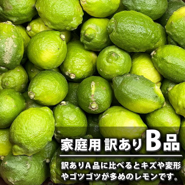 楽天市場】愛媛県産 訳あり レモン B品 サイズ込み 10kg 【送料無料/一  