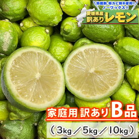 愛媛県産 訳あり レモン B品 サイズ込み 【送料無料/一部地域を除く】［ 国産 大きさ おまかせ 不揃い サイズ 不選別 家庭用 防カビ剤 防腐剤 ワックス 不使用 宇和島 檸檬 lemon 2kg 3kg 5kg 10kg ］