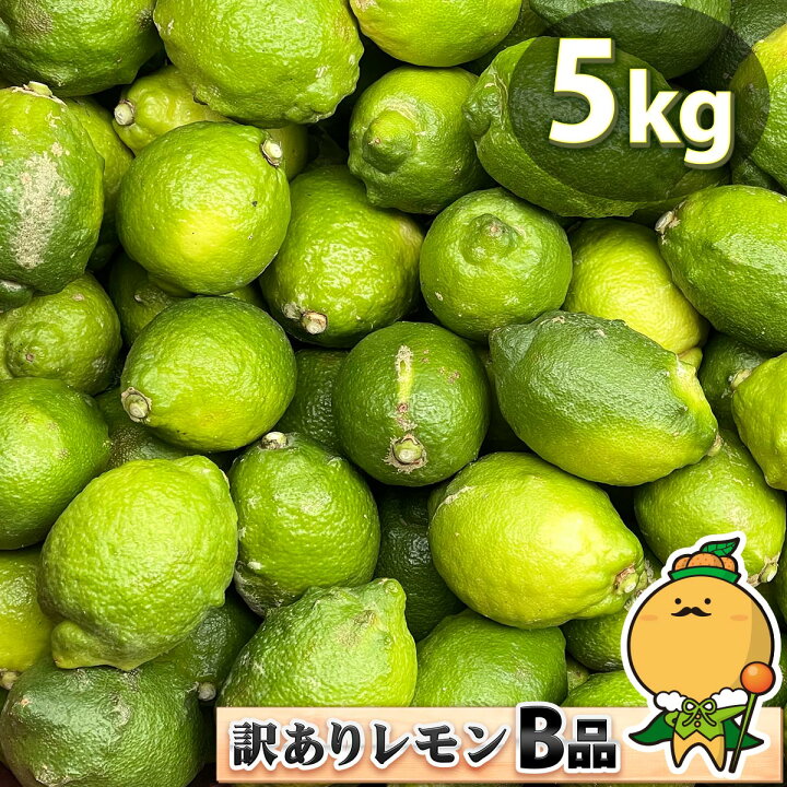 [175]果汁・果肉用　訳あり璃の香　国産グリーンレモン　家庭用約4.5kg