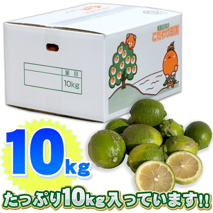 楽天市場】愛媛県産 訳あり レモン B品 サイズ込み 10kg 【送料 