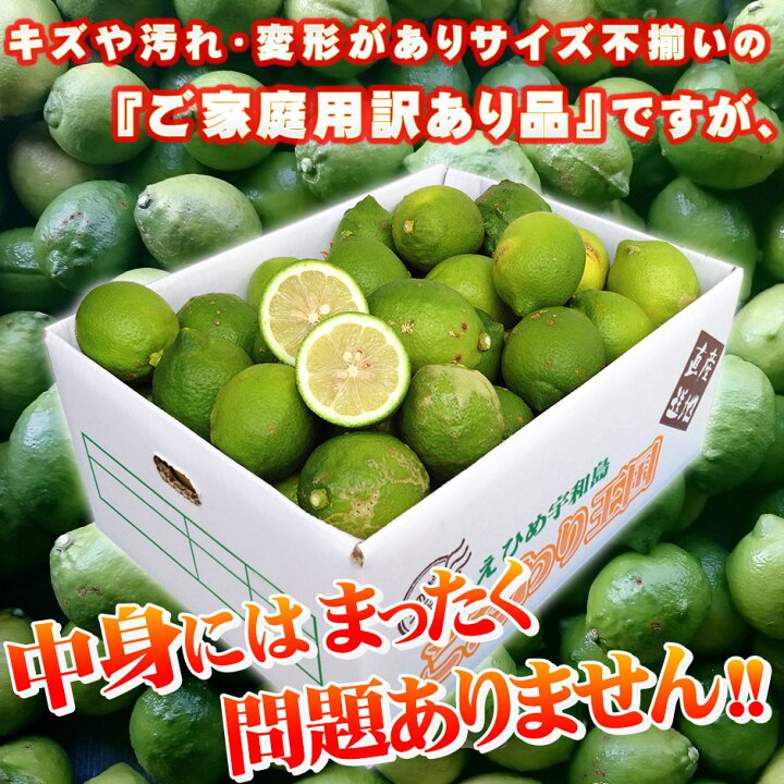 今だけ国産ライム5個付き愛媛県産 訳あり レモン B品 10kg 国産 大きさ おまかせ 不揃い サイズ 不選別 家庭用 防カビ剤 防腐剤 ワックス 不使用 宇和島 檸檬 lemon キズ 汚れ 自宅用 箱買い 天然 果汁 100% ジュース チューハイ カクテル に最適 ビタミンC ... 今だけ国産ライム5個付き愛媛県産 訳あり レモン B品 10kg 国産 大きさ おまかせ 不揃い サイズ 不選別 家庭用 防カビ剤 防腐剤 ワックス 不使用 宇和島 檸檬 lemon キズ 汚れ 自宅用 箱買い 天然 果汁 100% ジュース チューハイ カクテル に最適 ビタミンC ...