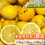 愛媛県産 訳あり レモン B品 サイズ込み 【送料無料/一部地域を除く】［ 国産 大きさ おまかせ 不揃い サ…