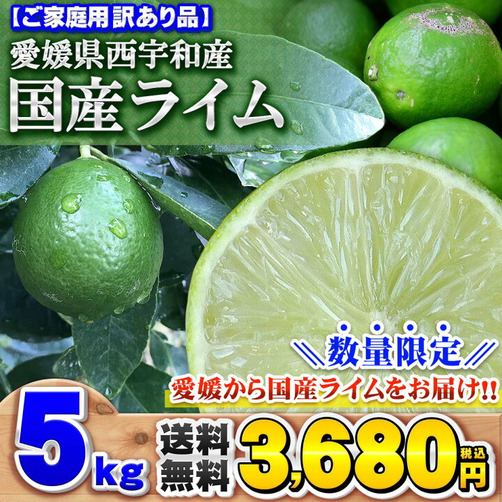 \安心国産/ 愛媛県 西宇和産 ライム 5kg ご家庭用 訳あり サイズ おまかせ 送料無料/一部地域を除く超希少 国産 5キロ 箱買い : 愛媛みかんの こだわり王国 \安心国産/ 愛媛県 西宇和産 ライム 5kg ご家庭用 訳あり サイズ おまかせ 送料無料/一部地域を除く超希少 国産 5キロ 箱買い : 愛媛みかんの こだわり王国