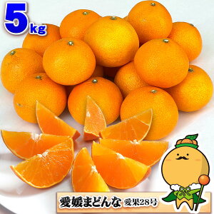 QY 󂠂 ܂ǂ 5kg TCY܂   Qʎ 28 Q ݂  p ƒp Õ Ƃ fR| ɏƂȂ k g܂ǂ Ɠi 5L