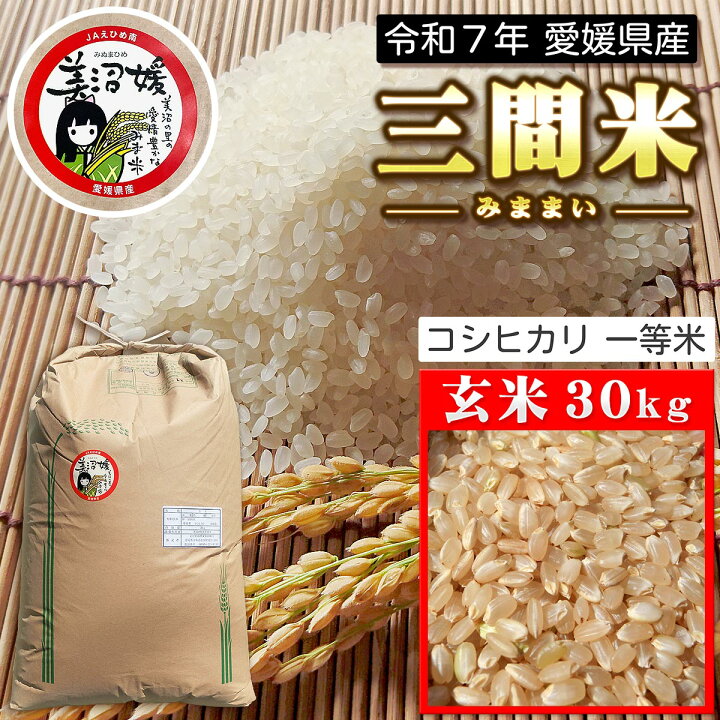 楽天市場】【令和7年産 新米】愛媛県産 三間米 コシヒカリ一等米 玄米 