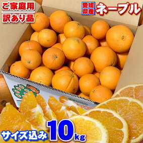 楽天市場 オレンジ 総重量 果物 10 00 10 99kg 人気ランキング1位 売れ筋商品 週間ランキング
