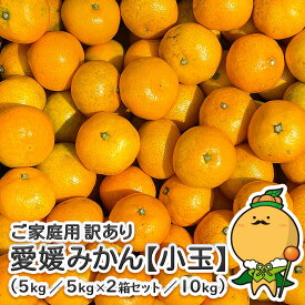 ＼今だけの特別価格／ 訳あり 愛媛みかん 小玉サイズ 【送料無料/一部地域除く】［ 愛媛県産 家庭用 自宅用 小玉 みかん 箱買い 温州 蜜柑 早生 南柑20号 ］