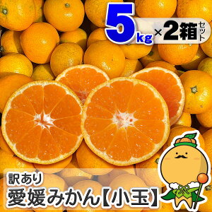 �_�������̓��ʉ��i�^ �󂠂� ���Q�݂��� ���ʃT�C�Y �y��������/�ꕔ�n�揜���z�m ���Q���Y �ƒ�p ����p ���� �݂��� ������ ���B ���� ���� �승20�� �n