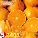 【数量限定】愛媛県宇和島産 ご家庭用 訳あり せとか 5kg【送料無料※一部地域を除く】 甘平 や 紅まどんな にも勝るとも劣らない高級柑橘せとか!