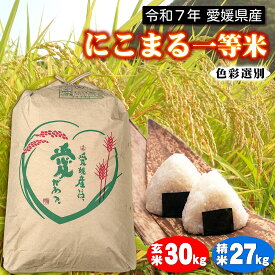 【令和7年産 新米】愛媛県産 にこまる 一等米 玄米 30kg 色彩選別・検査済み ［ 篠山清流米 ］ 玄米 30kg または 精米 27kg