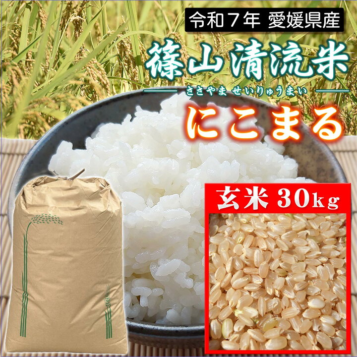 楽天市場】【令和7年産 新米】愛媛県産 にこまる 一等米 玄米 30kg 