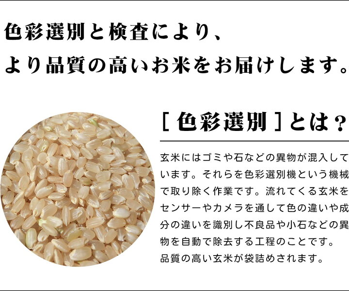 楽天市場】【令和7年産 新米】愛媛県産 にこまる 一等米 玄米 30kg 